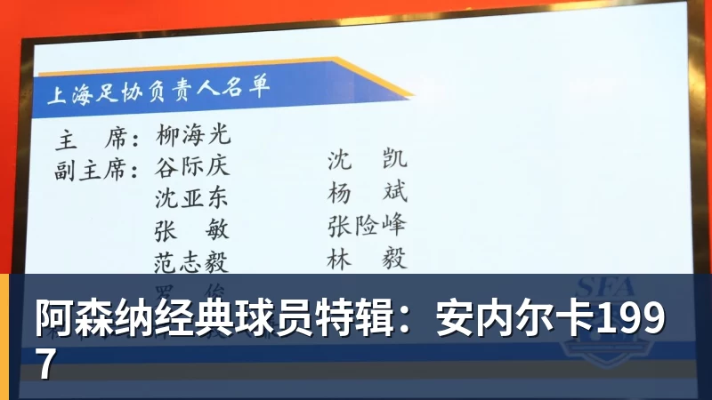 阿森纳经典球员特辑：安内尔卡1997